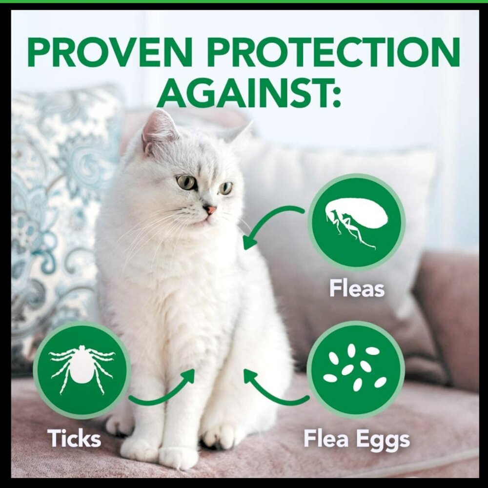 NEW✅Vet’s Best Flea and Tick Waterless Bath Foam for Cats Cotton Spice scent🐈